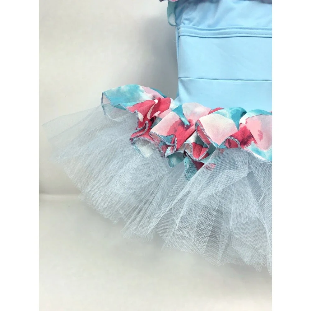 Duck Crossing Girls Ruffle Ballet Tutu Dress 1pc Skirted Leotard Tulle Blue Pink